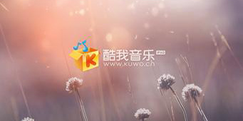 酷我音乐能不能下载歌词酷我音乐歌词下载应该怎么设置
