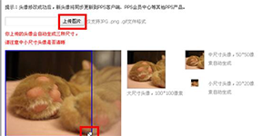 PPS影音娱乐圈更改个人头像的操作步骤