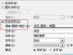 word2007中添加水印的两种方法