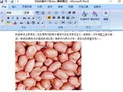 word2007中导出图片的两种方法