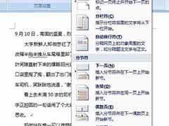 word2007分隔符的设置方法
