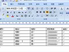Word2007转换成表格的方法