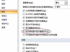 Word2007标尺显示和隐藏的方法