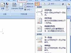 word2007使用分隔符的方法