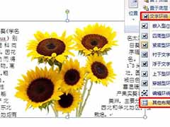 word2007让文字紧靠图片的方法