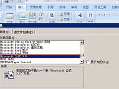 Word2007公式编辑器的调用方法