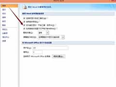word2007设置下拉菜单的方法