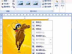 word2007裁剪插入的图片方法