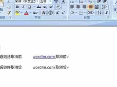 Word2007取消自动超链接的方法