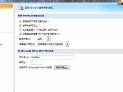 word文档不能输入中文的解决方法