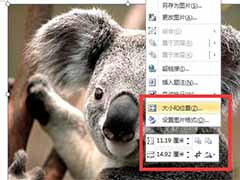word裁剪工具怎么用 如何在word中裁剪图片