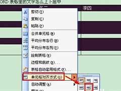 WORD设置表格里的文字上下居中的教程