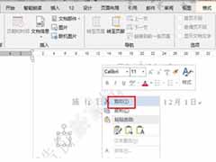 word去除pdf文件水印的步骤