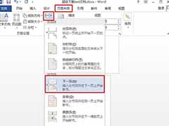 word2013设置页码从任意页开始的步骤