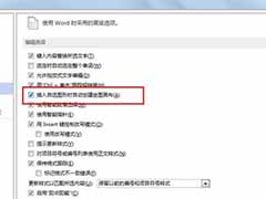 word插入绘图画布 word2013的操作方法