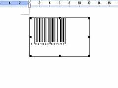 Word2007制作条形码的方法