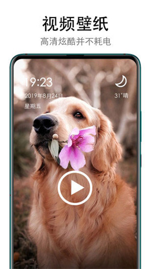 美日秀壁纸安卓版