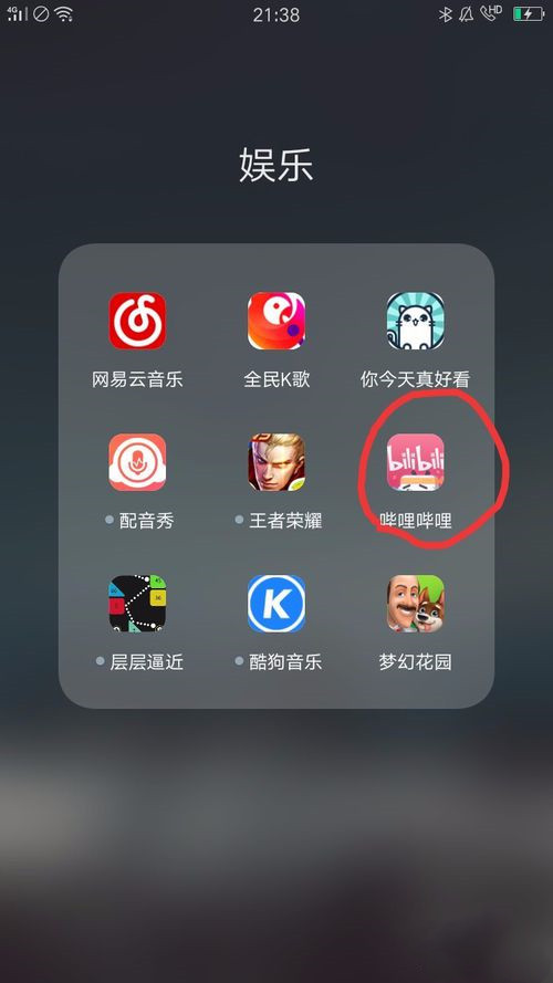 哔哩哔哩怎么下载视频