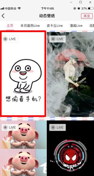 动态壁纸精灵APP怎么设置壁纸