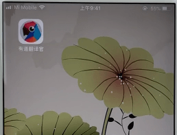 有道翻译官怎么换语言