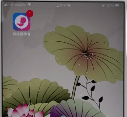 孕育管家怎么看预产期