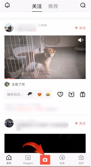 vue vlog草稿箱在哪里