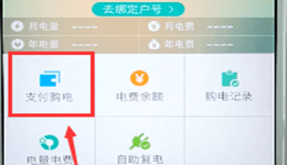 掌上电力怎么交费