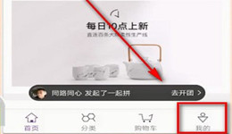 必要商城怎么查物流