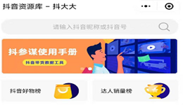 抖大大怎么用