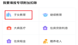 个人所得税子女教育怎么填写