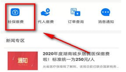 湘税社保怎么代人缴费