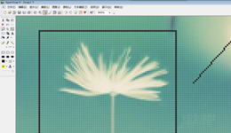 怎么用HyperSnap对图片进行修改
