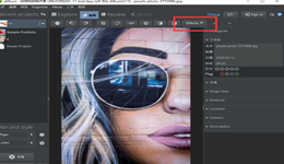怎么使用JAlbum的blur模糊工具