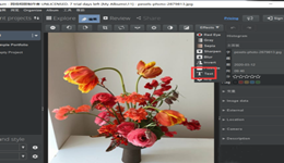 JAlbum怎么在图片上添加文字