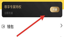 全民写小说怎么开通会员