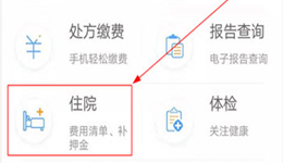 大象就医怎么看住院费用