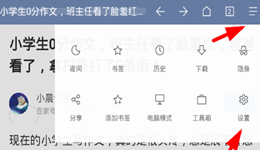 Via浏览器插件怎么用