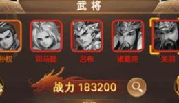 三国计武将如何升级？