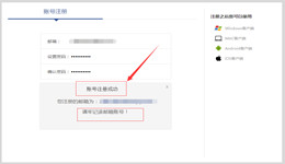 怎么用花猫加速器