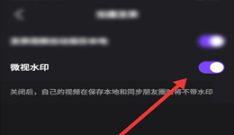 微视怎样关闭水印 微视水印怎么查看