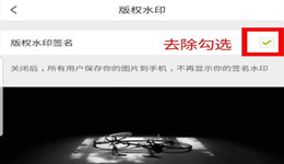 LOFTER怎么去除图片水印 LOFTER图片水印设置