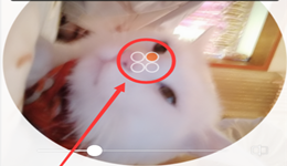 b612咔叽如何拼图 b612咔叽拼图教程