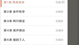 宜搜小说如何选章节 宜搜小说章节怎么选