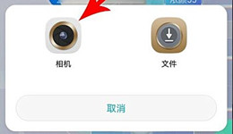 新氧魔镜如何测发型 新氧魔镜测发型教程