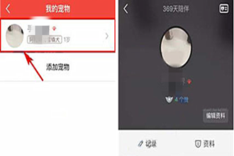 有宠怎么添加记录事项 有宠怎么用