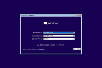Win10原版安装版(微软官方版)|Win10 64位专业版ISO镜像下载（附安装教程）