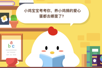 养小鸡捐的爱心蛋都去哪里了？