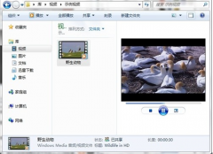 浅析WIN7旗舰版资源管理器强大的预览的功能