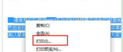 在系统之家Win7系统中只打印选定范围内文字的方法
