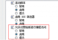 去除XP笔记本IE8 “是否允许该页从您的剪贴板上粘贴信息”的提示
